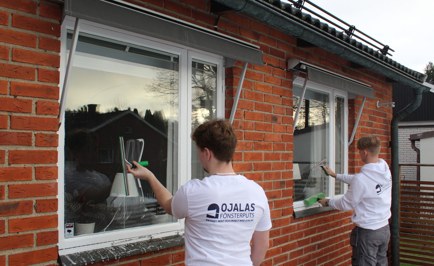 Fönsterputs